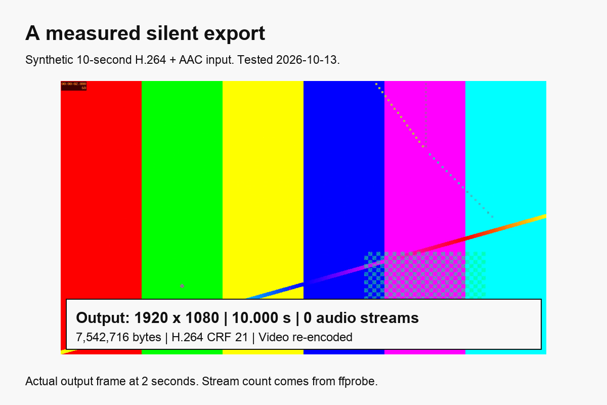 Actual synthetic muted-video frame with measured 1920 by 1080 dimensions, ten-second duration and zero audio streams
